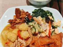 -梧桐人家中国太平国际健康颐养社区