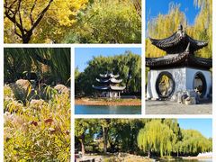 -陶然亭公园