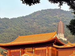 -深圳仙湖植物园