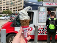 -富豪雪糕车流动点(尖沙咀店)