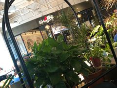 -查特花园美食广场(西单大悦城店)