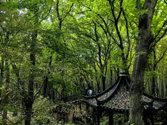 -虞山风景区