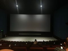 -首都电影院(天津店 中国巨幕)