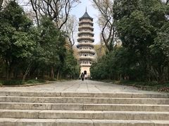 -灵谷景区