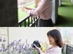 -上海和平饭店华懋阁 Cathay Room