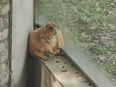 -苏州太湖西山岛开心农场