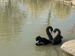 -祥源·阜阳生态乐园