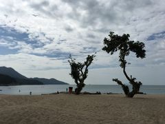 -南丫岛