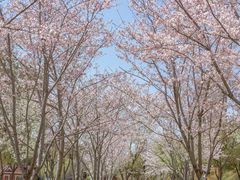 -狼山风景名胜区