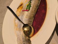 -醉庐·新上海菜(南京西路店)