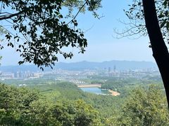 -大奇山国家森林公园