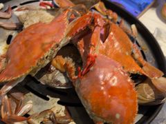 -半岛听涛蒸汽海鲜自助(K11店)