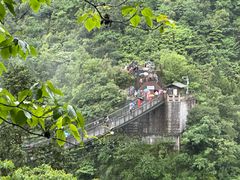 -娄山关景区