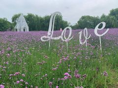 -梁鸿国家湿地公园