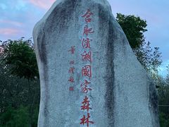 -合肥滨湖国家森林公园