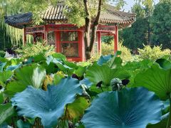 -莲池书院博物馆