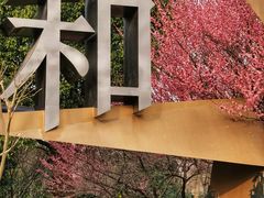 -杭州城北体育公园