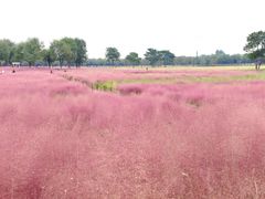 -汉长安城未央宫国家考古遗址公园