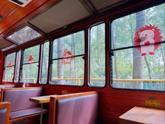 -合肥滨湖国家森林公园