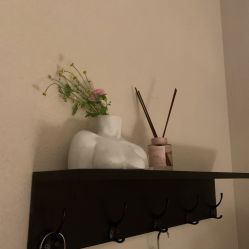 -玛莲朵·海菲秀冰珀科