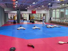 -陈中跆拳道(中关村馆)