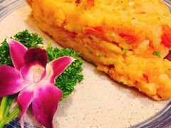 老奶洋芋-紫滇源云南生态菜(丹凤街店)
