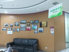 -雅悦齿科(顾村公园店)