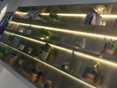 -CoCo都可(360丰产店)