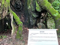 -古堰画乡景区