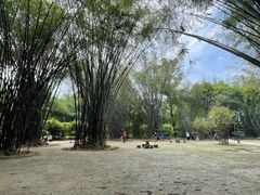 -望江楼公园