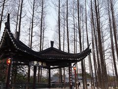-江心屿景区