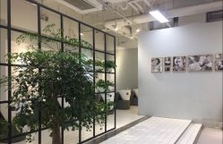 -P.STYLE派斯造型