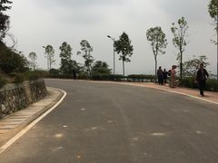 -火炉山森林公园