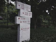 -龙头寺公园