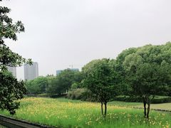 -蠡湖大桥公园