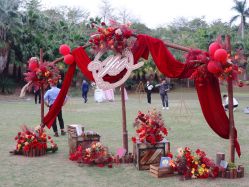 -帝元维多利亚大酒店·宴会厅