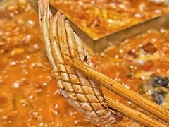 -铭记蛙小仙·活蛙畅享(CBD万达广场店)