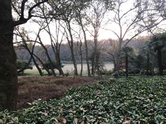 -灵谷景区