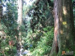 -东天目山风景区