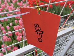 -厦门园林博览苑