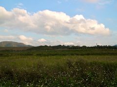 -光明小镇欢乐田园