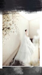 点击看大图 -韩国艺匠ARTIZ STUDIO(博览中心店)