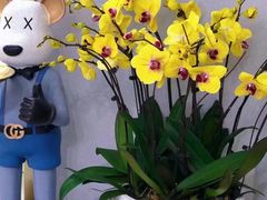 -视野联行眼镜蔡司·依视路官方授权店(顺城店)