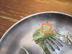 -奇帕波·披萨&炸鸡(诺和木勒站店)