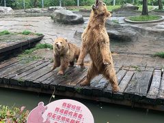 -常州淹城野生动物世界