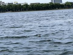 -长春市南湖公园