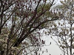 -什刹海