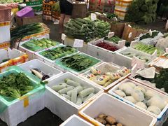 -三亚新鸿港水果一级批发市场
