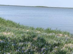 -天津东丽湖风景区