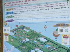 -前小桔亲子创意农场·草莓采摘·露营烧烤